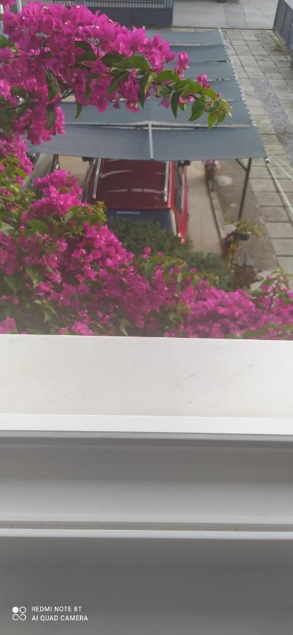 Apartments Ante ตรีบูนย์ ภายนอก รูปภาพ